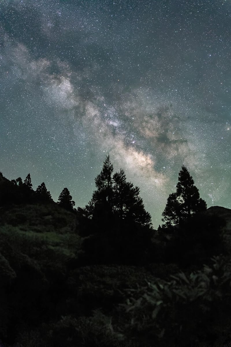 Galaxy Tuxedo